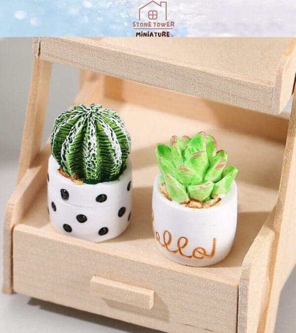 Two miniature potted cacti, one in a polka dot pot, the other in a pot with "Hello" text, displayed on a wooden shelf.