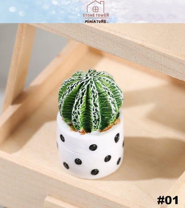 Miniature green cactus in a white pot with black polka dots on a wooden shelf.