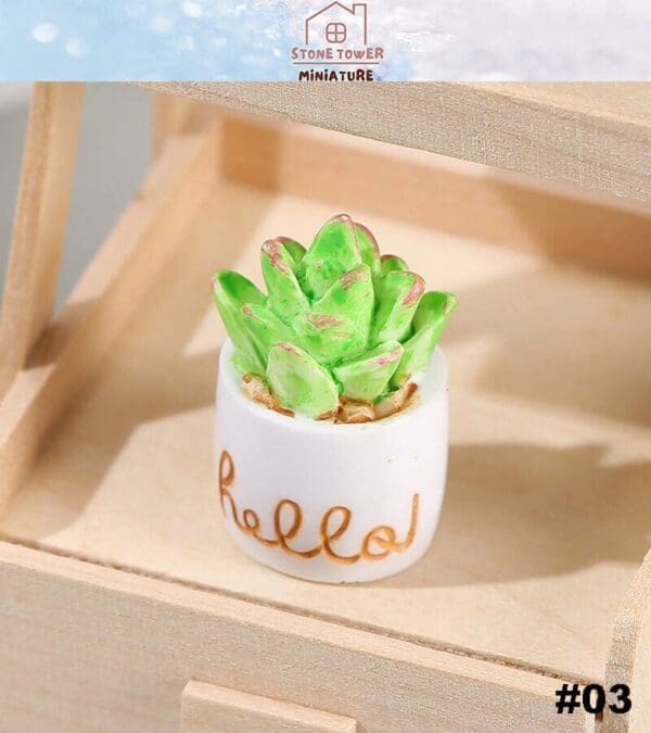 Miniature green succulent in a white pot with "hello" text, placed on a wooden surface.