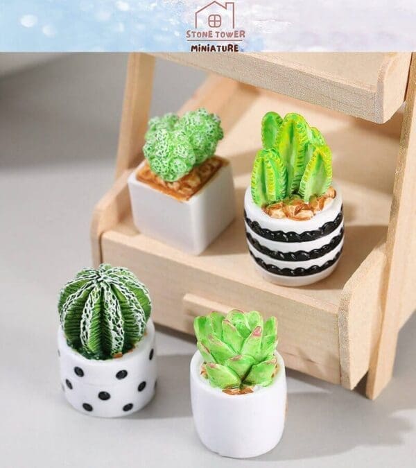 Miniature green succulents in decorative pots, displayed on a small wooden shelf.