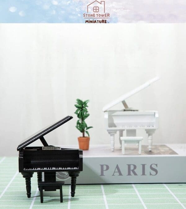 Miniature black piano in foreground, white piano and potted plant on a "PARIS" box in background.