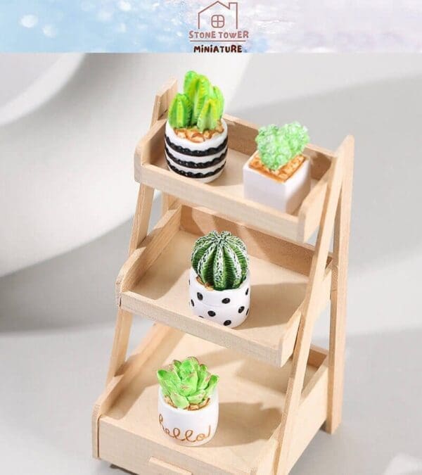 Miniature wooden shelf with small potted succulents in colorful pots.